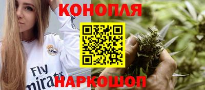 гашик Брянск
