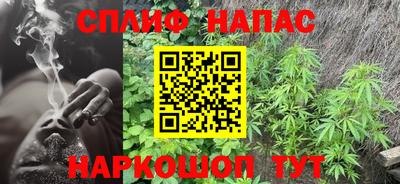 гашик Брянск