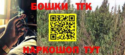 гашик Брянск